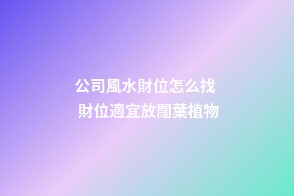 公司風水財位怎么找  財位適宜放闊葉植物
